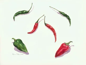 Chilis und Paprika, 2005